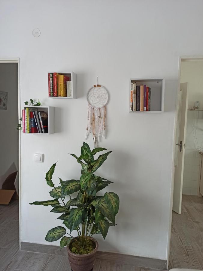 Apartamento Elizondo Giltxaurdi エクステリア 写真
