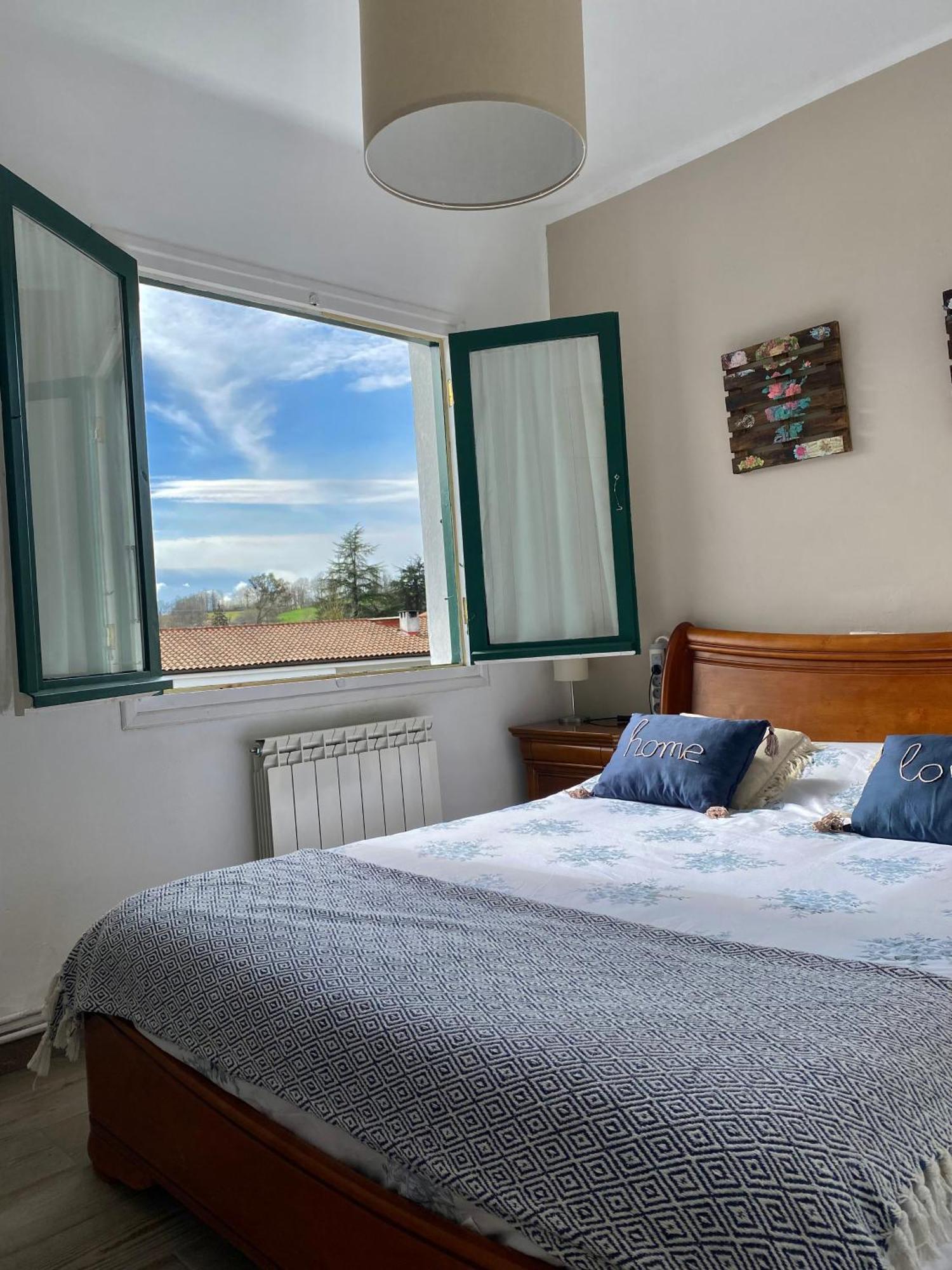 Apartamento Elizondo Giltxaurdi エクステリア 写真